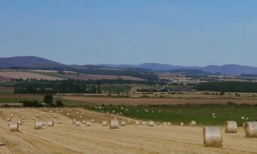 agriculture_1