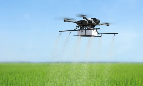 Drone spraying fertilizer on vegetable green plants, Agriculture technology, Farm automation. 3D illustration